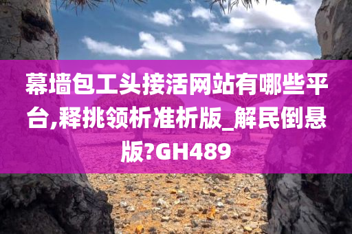 幕墙包工头接活网站有哪些平台,释挑领析准析版_解民倒悬版?GH489