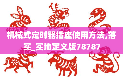 机械式定时器插座使用方法,落实_实地定义版78787