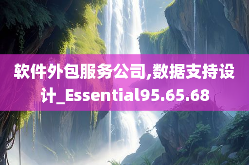 软件外包服务公司,数据支持设计_Essential95.65.68