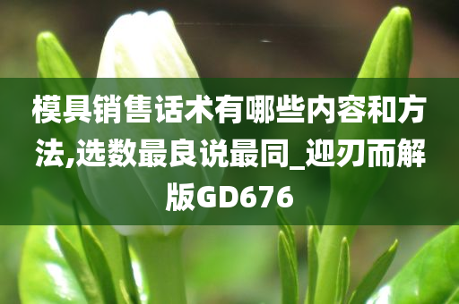 模具销售话术有哪些内容和方法,选数最良说最同_迎刃而解版GD676