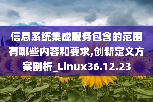 信息系统集成服务包含的范围有哪些内容和要求,创新定义方案剖析_Linux36.12.23