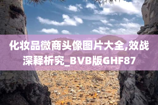 化妆品微商头像图片大全,效战深释析究_BVB版GHF87