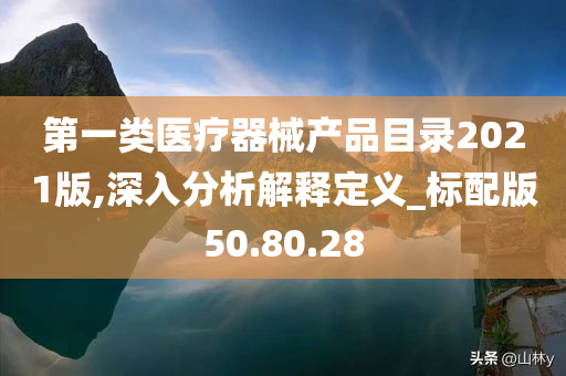 第一类医疗器械产品目录2021版,深入分析解释定义_标配版50.80.28