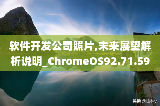 软件开发公司照片,未来展望解析说明_ChromeOS92.71.59