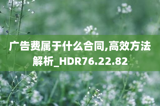 广告费属于什么合同,高效方法解析_HDR76.22.82