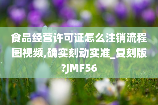 食品经营许可证怎么注销流程图视频,确实刻动实准_复刻版?JMF56