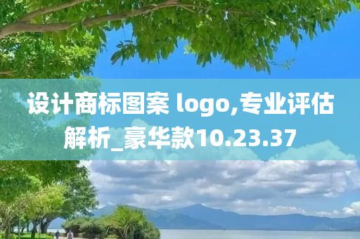 设计商标图案 logo,专业评估解析_豪华款10.23.37