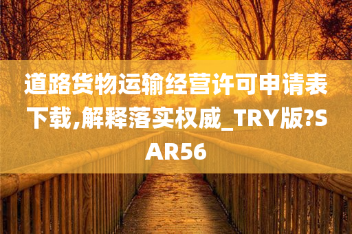 道路货物运输经营许可申请表下载,解释落实权威_TRY版?SAR56