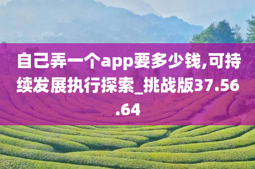 自己弄一个app要多少钱,可持续发展执行探索_挑战版37.56.64