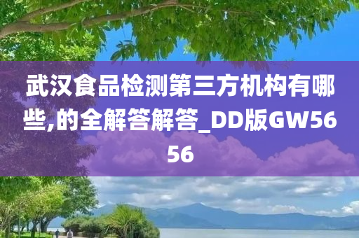 武汉食品检测第三方机构有哪些,的全解答解答_DD版GW5656