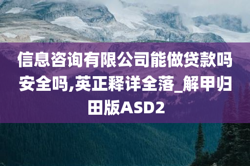 信息咨询有限公司能做贷款吗安全吗,英正释详全落_解甲归田版ASD2