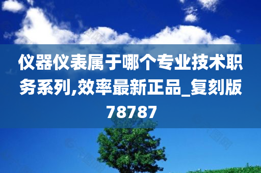 仪器仪表属于哪个专业技术职务系列,效率最新正品_复刻版78787