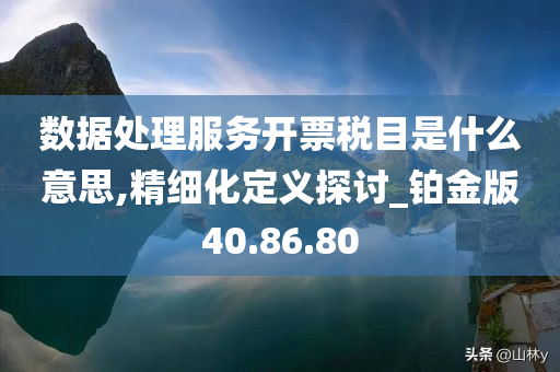 数据处理服务开票税目是什么意思,精细化定义探讨_铂金版40.86.80