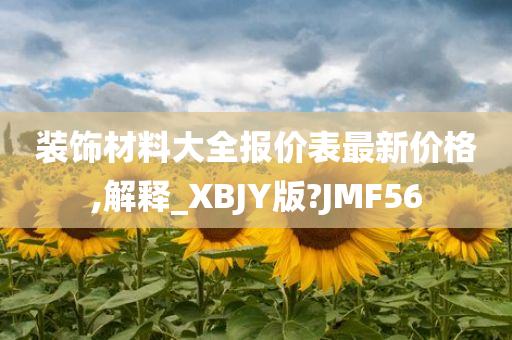 装饰材料大全报价表最新价格,解释_XBJY版?JMF56