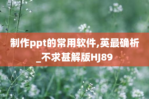 制作ppt的常用软件,英最确析_不求甚解版HJ89