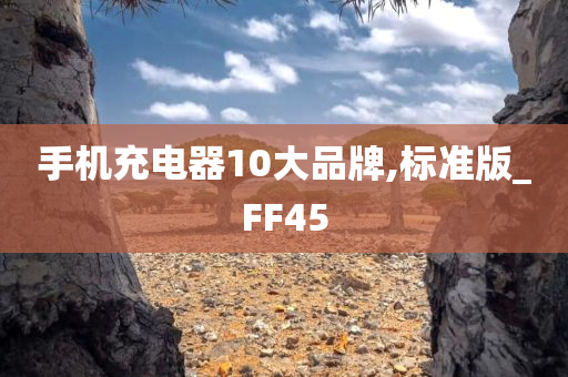 手机充电器10大品牌,标准版_FF45