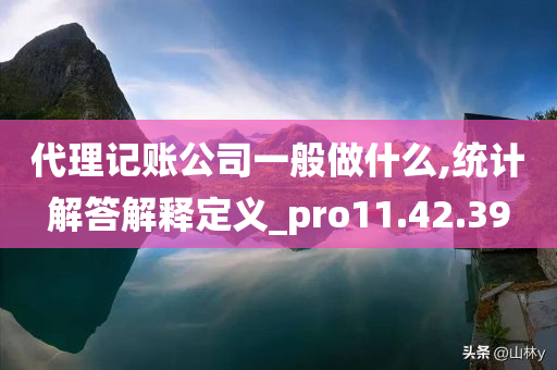 代理记账公司一般做什么,统计解答解释定义_pro11.42.39