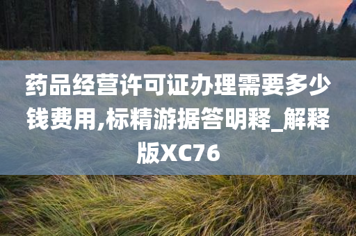 药品经营许可证办理需要多少钱费用,标精游据答明释_解释版XC76