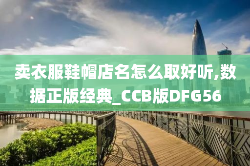 卖衣服鞋帽店名怎么取好听,数据正版经典_CCB版DFG56