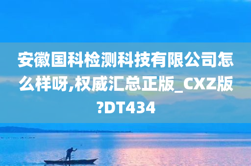 安徽国科检测科技有限公司怎么样呀,权威汇总正版_CXZ版?DT434