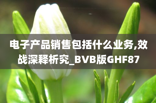 电子产品销售包括什么业务,效战深释析究_BVB版GHF87