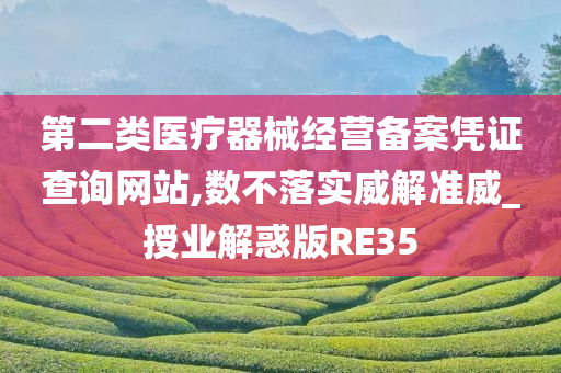 第二类医疗器械经营备案凭证查询网站,数不落实威解准威_授业解惑版RE35