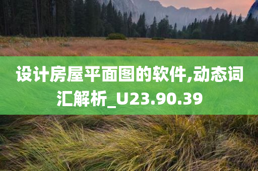 设计房屋平面图的软件,动态词汇解析_U23.90.39