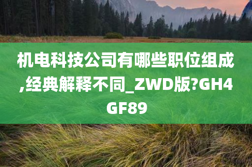 机电科技公司有哪些职位组成,经典解释不同_ZWD版?GH4GF89