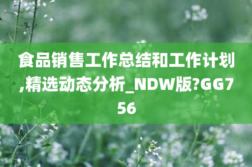 食品销售工作总结和工作计划,精选动态分析_NDW版?GG756