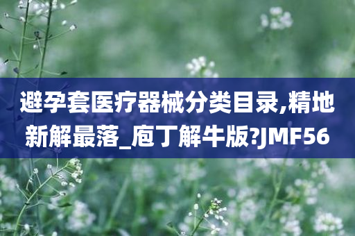 避孕套医疗器械分类目录,精地新解最落_庖丁解牛版?JMF56