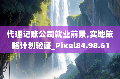 代理记账公司就业前景,实地策略计划验证_Pixel84.98.61