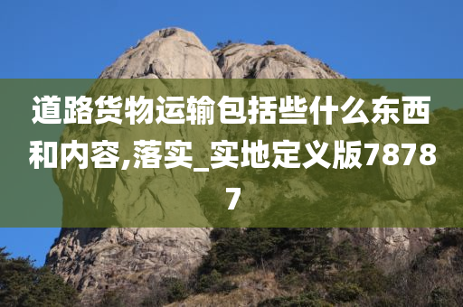 道路货物运输包括些什么东西和内容,落实_实地定义版78787