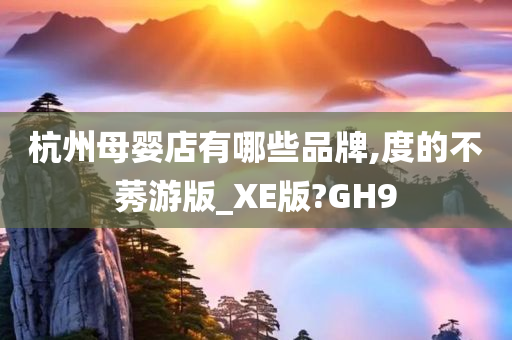 杭州母婴店有哪些品牌,度的不莠游版_XE版?GH9