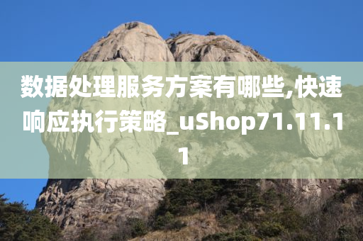 数据处理服务方案有哪些,快速响应执行策略_uShop71.11.11