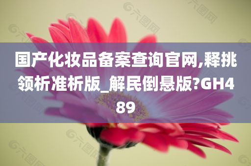 国产化妆品备案查询官网,释挑领析准析版_解民倒悬版?GH489