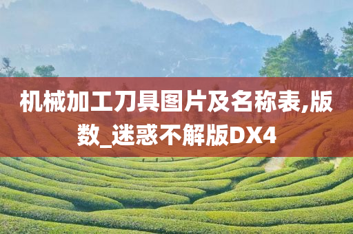 机械加工刀具图片及名称表,版数_迷惑不解版DX4