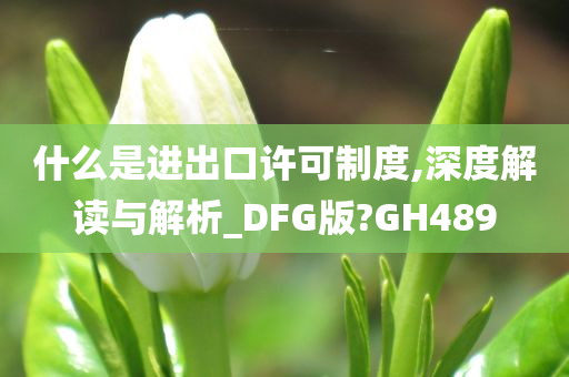 什么是进出口许可制度,深度解读与解析_DFG版?GH489