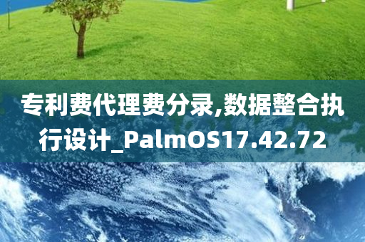 专利费代理费分录,数据整合执行设计_PalmOS17.42.72