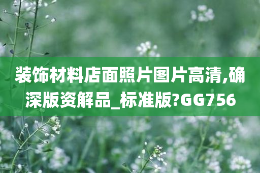 装饰材料店面照片图片高清,确深版资解品_标准版?GG756