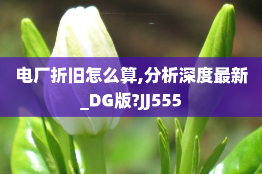 电厂折旧怎么算,分析深度最新_DG版?JJ555