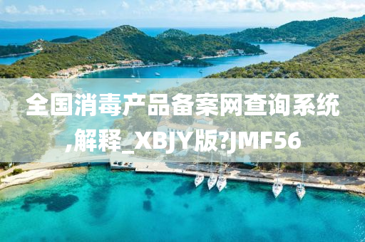 全国消毒产品备案网查询系统,解释_XBJY版?JMF56