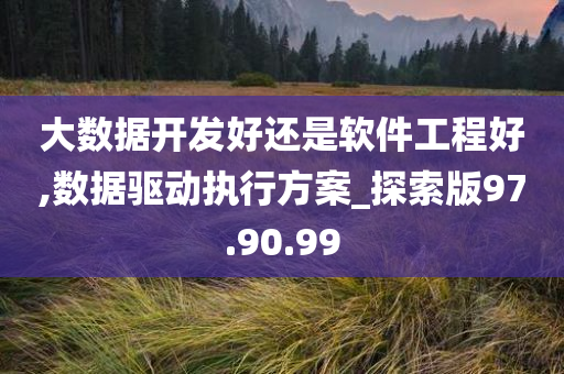 大数据开发好还是软件工程好,数据驱动执行方案_探索版97.90.99