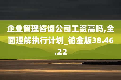 企业管理咨询公司工资高吗,全面理解执行计划_铂金版38.46.22