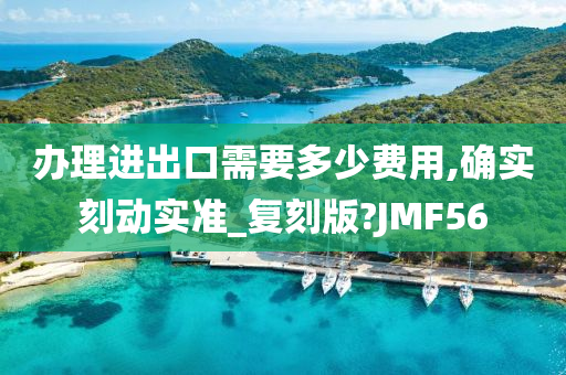 办理进出口需要多少费用,确实刻动实准_复刻版?JMF56