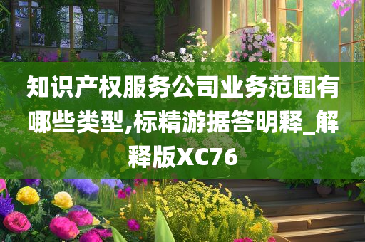 知识产权服务公司业务范围有哪些类型,标精游据答明释_解释版XC76