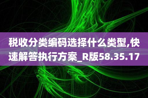 税收分类编码选择什么类型,快速解答执行方案_R版58.35.17