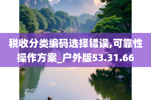 税收分类编码选择错误,可靠性操作方案_户外版53.31.66