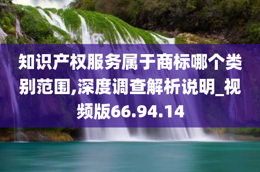 知识产权服务属于商标哪个类别范围,深度调查解析说明_视频版66.94.14