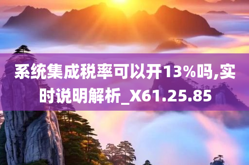 系统集成税率可以开13%吗,实时说明解析_X61.25.85