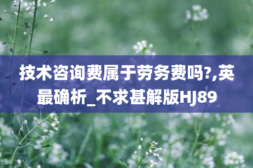 技术咨询费属于劳务费吗?,英最确析_不求甚解版HJ89